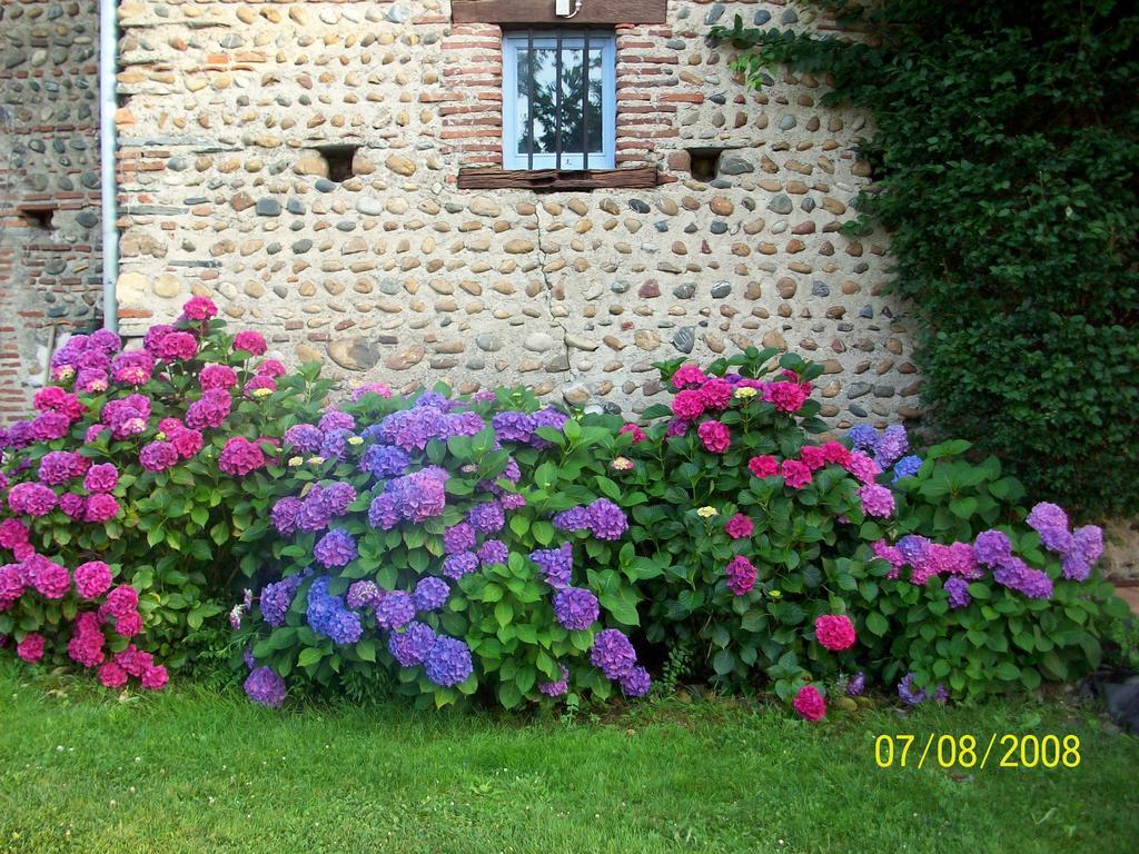 La Maison D'Anais Vic-en-Bigorre Exteriér fotografie